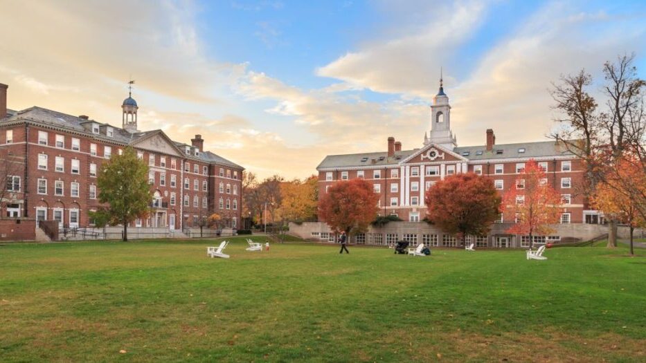 El consejo de una educación empática desde Harvard