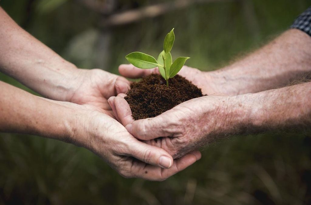 Sustentabilidad social