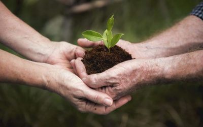 Sustentabilidad social